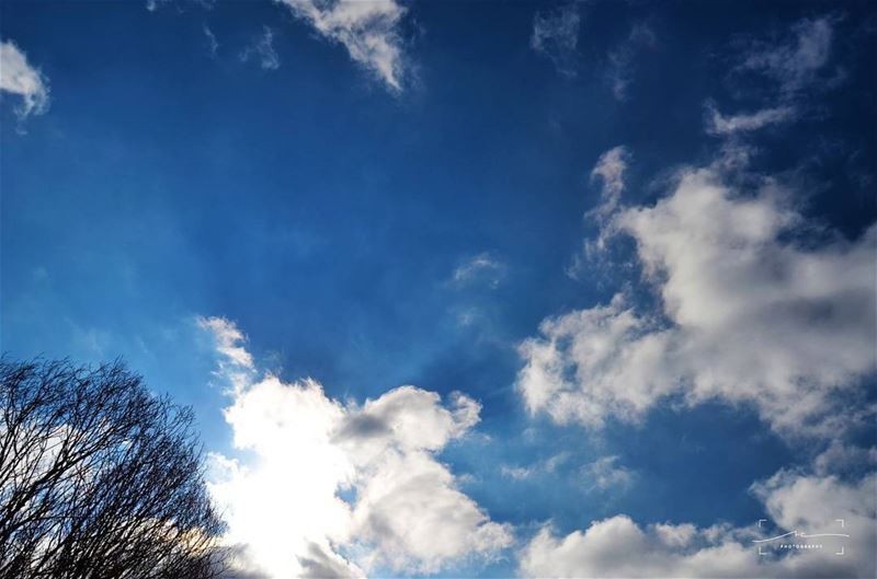 Lay down and look up 🌍☀ (Tannourine-Balou3 Bal3a)