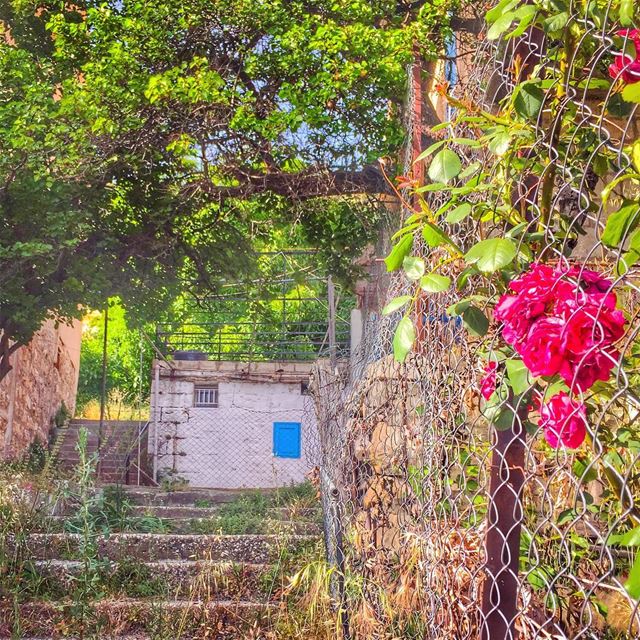Le bonheur est souvent la seule chose qu'on puisse donner sans l'avoir et... (Ehden, Lebanon)