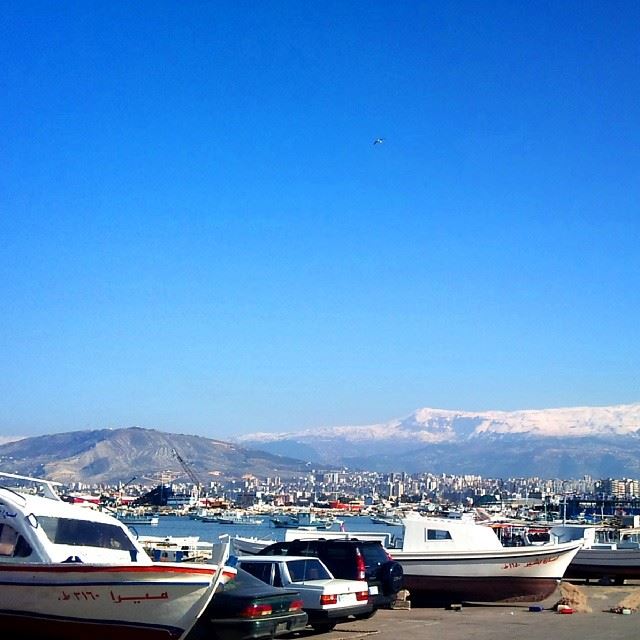 Le corniche de Tripoli harbor  nature  TripoliLB  instaTripoli ...