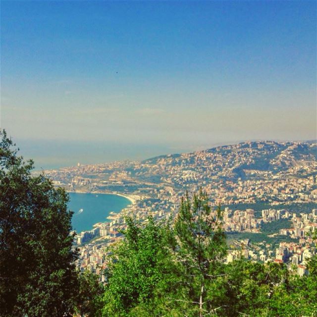 Le Liban, malgré tout ce qu’il a traversé, restera à mes yeux, un petit... (Lebanon)