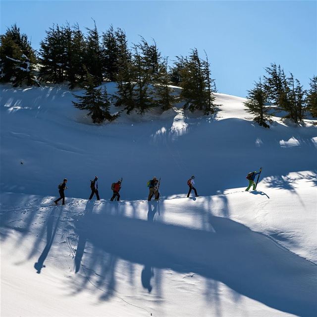 Lead the way  lebanon  barouk  baroukcedars  shouf  shadow  snow ... (Shouf Biosphere Reserve)