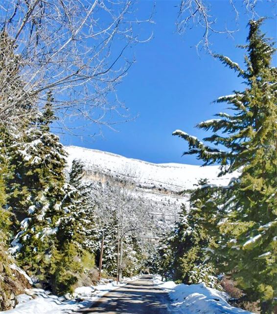 Learn from yesterday, live for today, hope for tomorrow. The most... (Ehden, Lebanon)