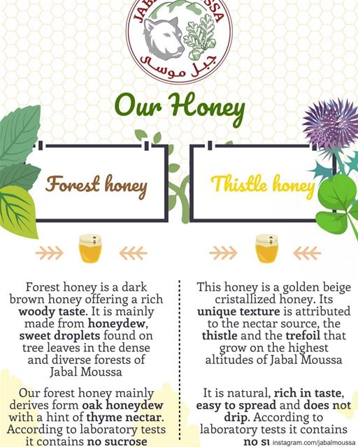 Learn more about our 2 types of Honey. Available at  JabalMoussa's... (Jabal Moussa Biosphere Reserve)