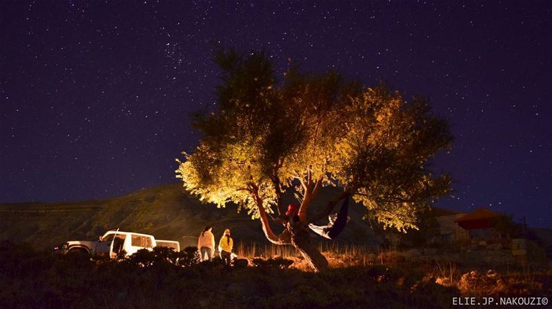 Leave the house and Spend the night under the stars.. night  photo ... (Salib Bekish)
