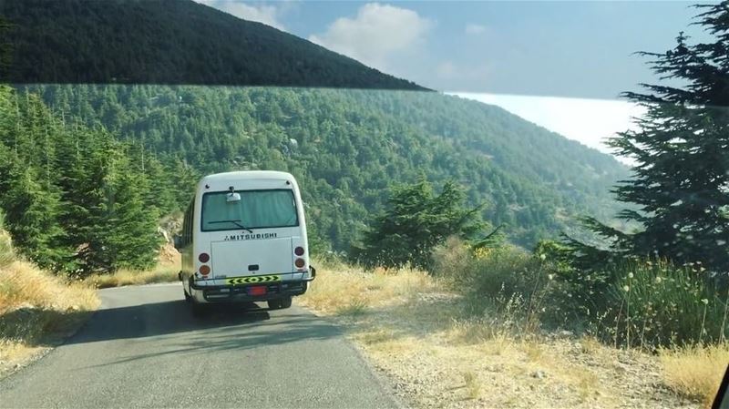 Leaving Barouk Cedars forest ... Had an amazing day a lot of Photos soon... (Barouk - Shouf)