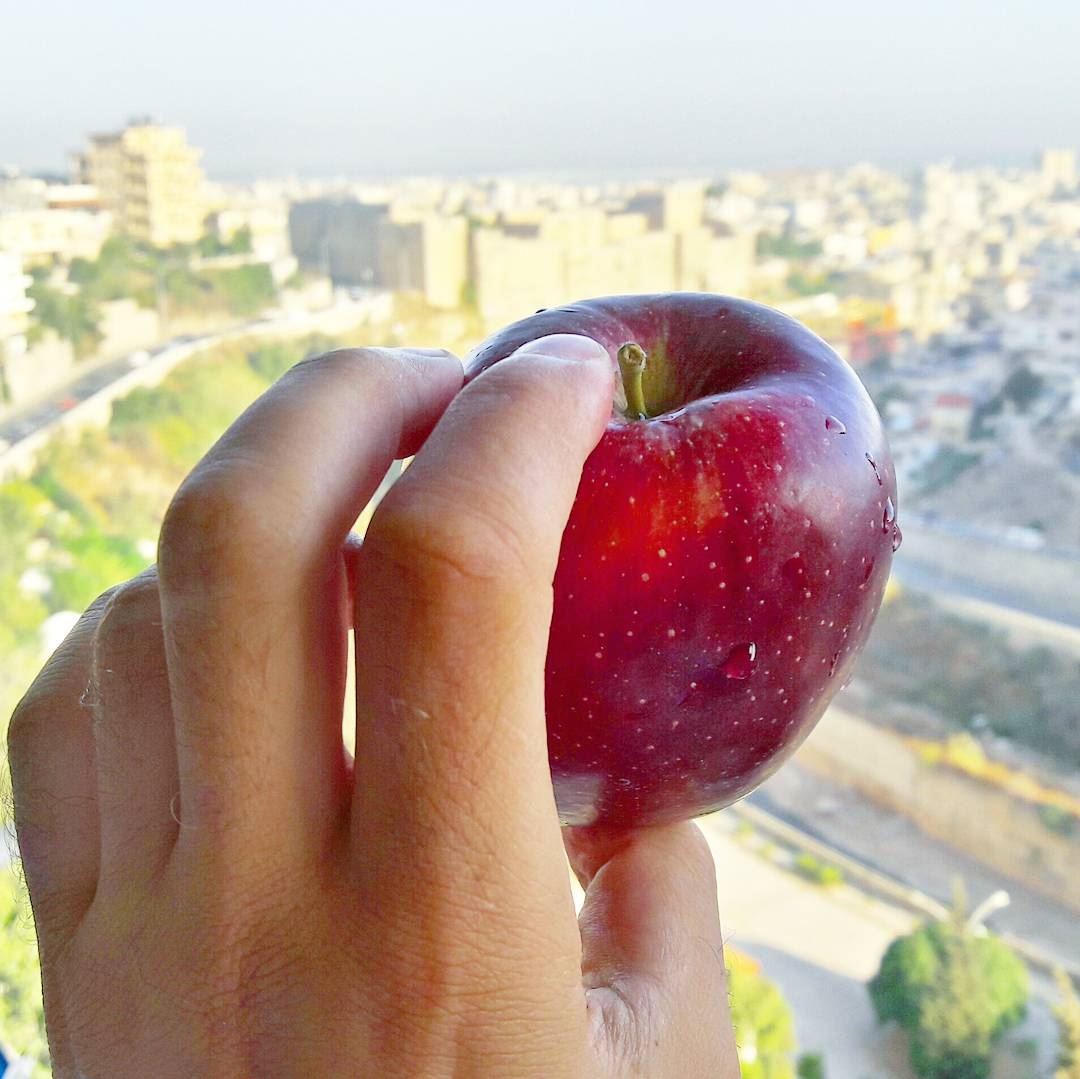 Lebanese apples are the sexiest ever 🍎🍎🍎  EatLebaneseApples Support ... (Abou Samra, Tripoli, Lebanon)