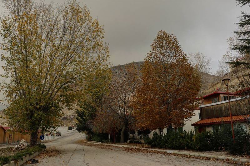Lebanese Autumn in the Mountains... lebanese  autumn  montliban ... (Mzaar Kfardebian)
