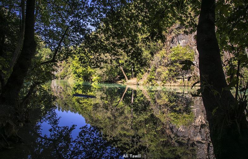 Lebanese beautiful nature 💚 waterscape  nature  reflection  chowen ... (نهر شوان)