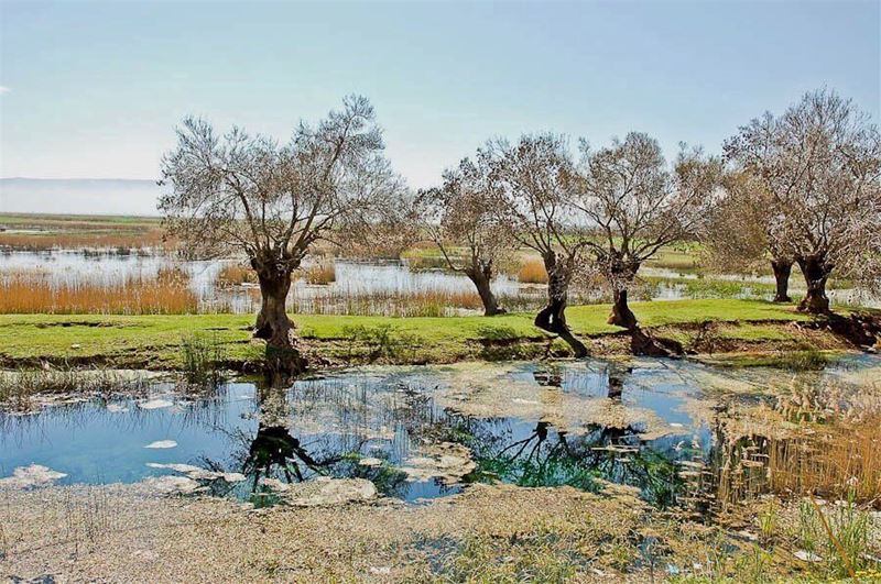  lebanese  bekaa  naturephotography  nature  naturelovers  iglebanon ...