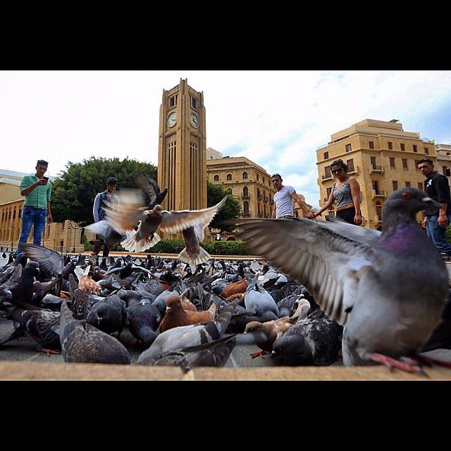 Lebanese feed pigeons near the four–faced Rolex clock tower at the...