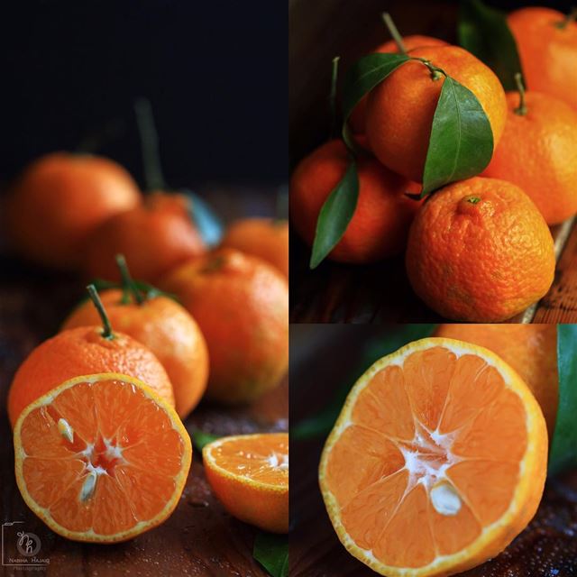 Lebanese Mandarins 🍊 studio  photoshoot  photography  job ...