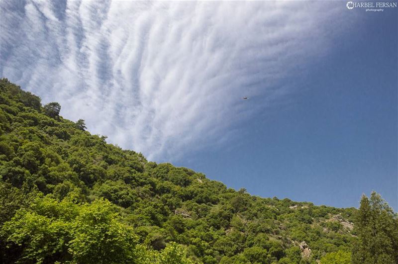 Lebanese Mountains 🌱🌲🌳🍀🌿 www.charbelfersan.com  tb  instashot ... (Al Chouf)