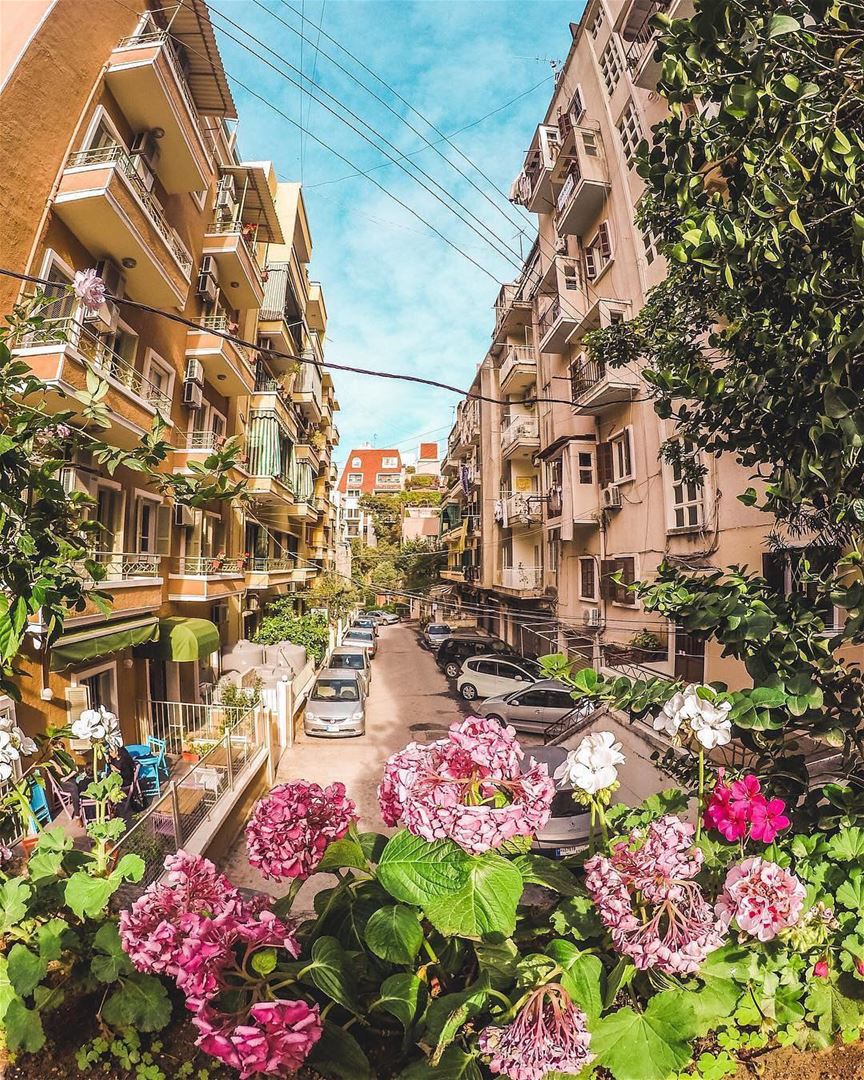 Lebanese spring 🌺By @hotelsbygmr83  GoodMorningBeirut  Gemmayze ... (Gemmayzeh Gouraud Street)