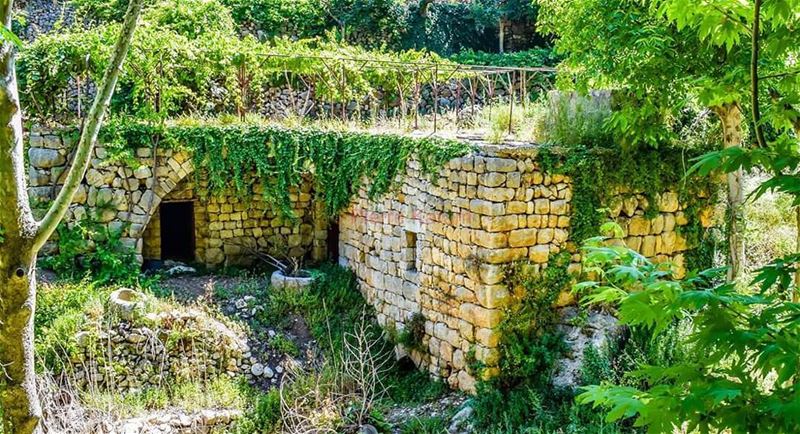  lebanese  traditional  house  green  nature  old  Lebanon ...