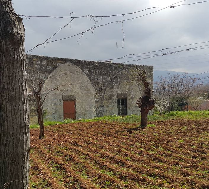 Lebanese traditional...  village  naturelovers  lebanon  lebanon_pictures ...