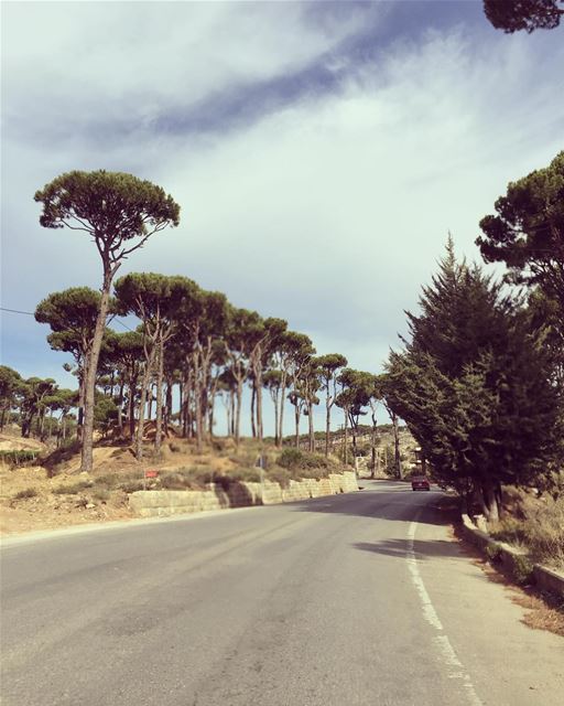 lebanese_in_sweden @aoude.a   instalebanon  summerinlebanon ... (Barouk Cedar Forest)
