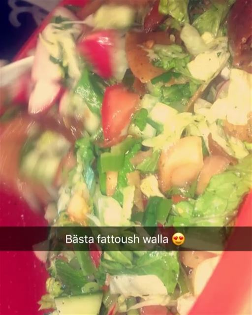 😍😍  lebanesefattoush 🥗🥒🍅🌶🍋 lebanese_in_sweden  livelovelebanon ...