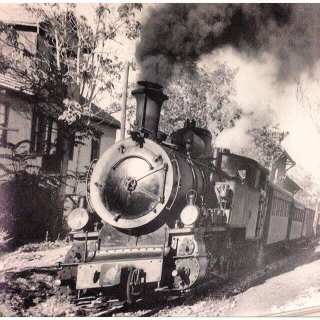 LebaneseTrain Photo In 1964 .