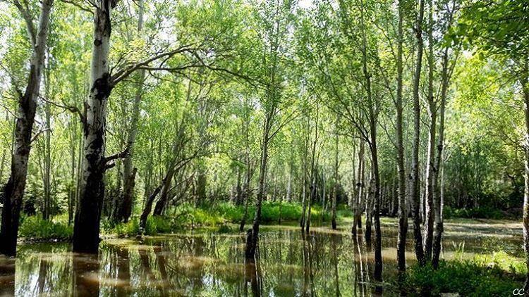  lebanon  abdelli  water  trees  reflection  colors  photos  capture ...