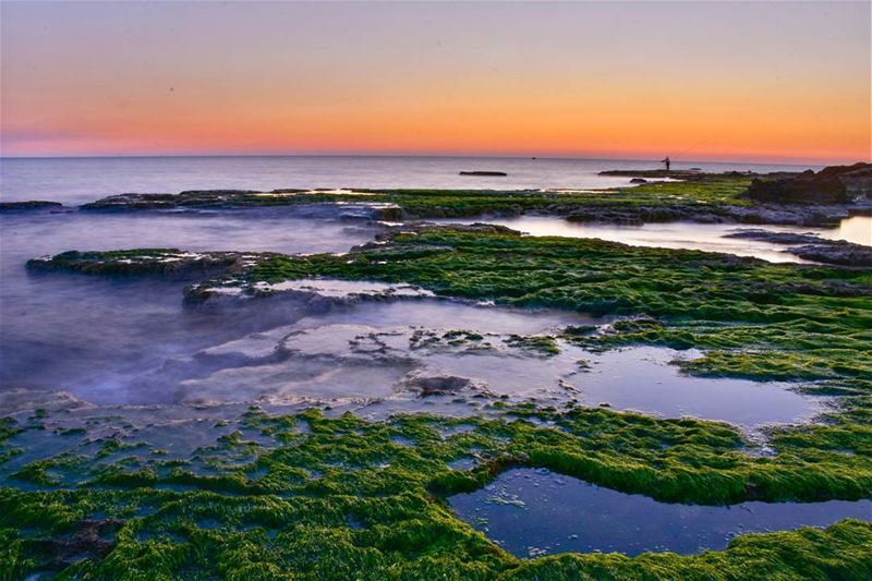  Lebanon  amchit  seascape  sunset  beach  livelivebeirut  livelovelebanon...