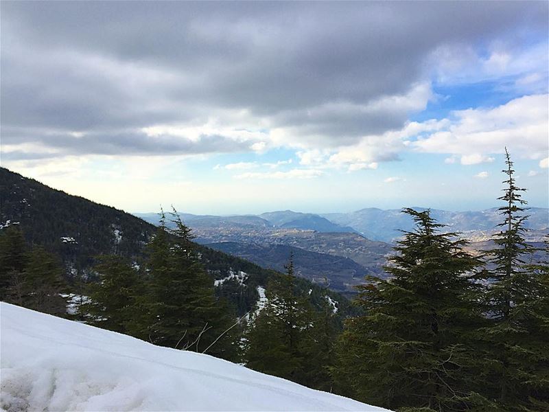  Lebanon ... (Barouk Cedar Forest)