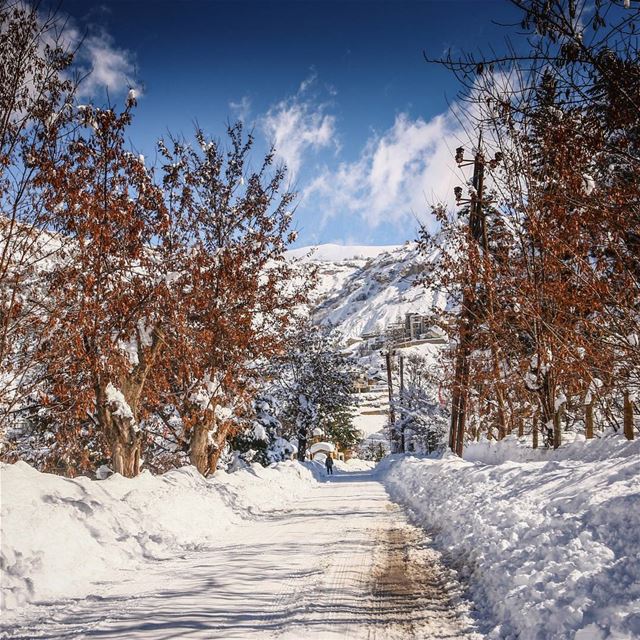  Lebanon  Bcharre  Snow  Winter  Mountain  White  Nature  Sky  Clouds ...