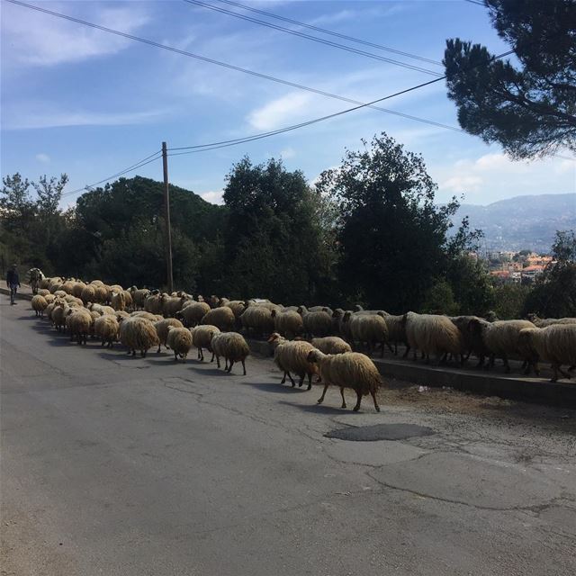  lebanon  beautiful  outdoors  nature  mountains  naturephotography ...