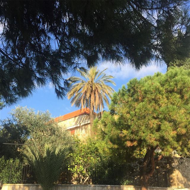  lebanon  beautiful  trees  clearsky  oldlebanesehouse  vintage ... (Zouk Mosbeh)