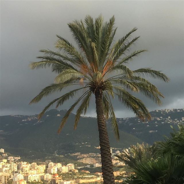  lebanon  beautifulview  beautifullebanon  livelovelebanon  instagood ... (Joünié)
