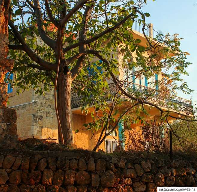 🍂🍃.. lebanon  beino  akkar  liveloveakkar  fall   autumn ... (Beïno, Liban-Nord, Lebanon)