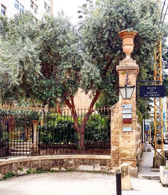  lebanon  beirut  beyrouth  beyrouthlife  ashrafieh  eglisesaintjoseph ... (Eglise Saint-Joseph)