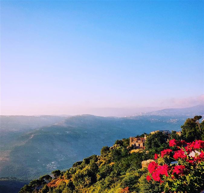  lebanon  beirut  bhamdoun  cherry  cherryblossom  hotel  landscape ... (Cherry Blossom Boutique Hotel)