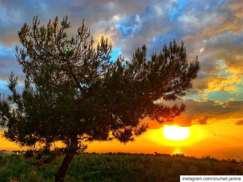  lebanon  beirut  mountain  travelphotography  sky  blue  clouds  tree ... (Mount Lebanon Governorate)