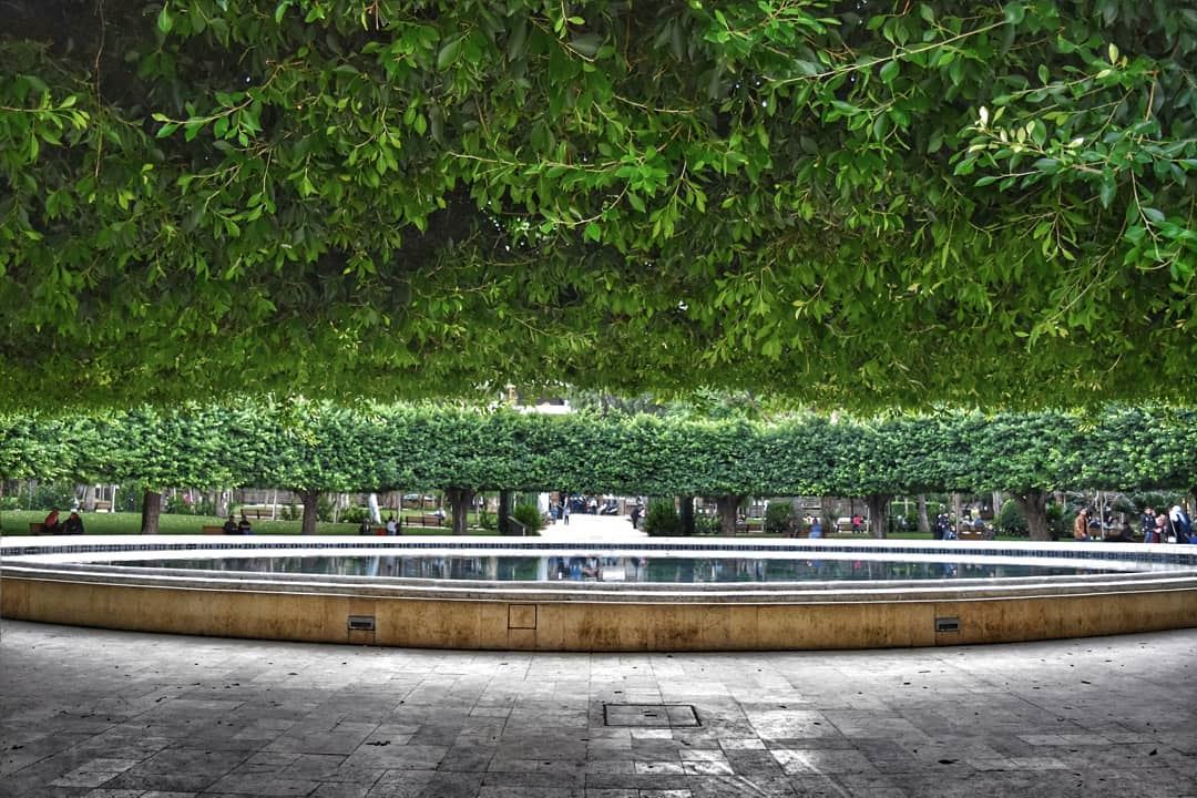  lebanon  beirut  photography  prespective  publicgarden  shadow  green ... (Sanayeh Park)