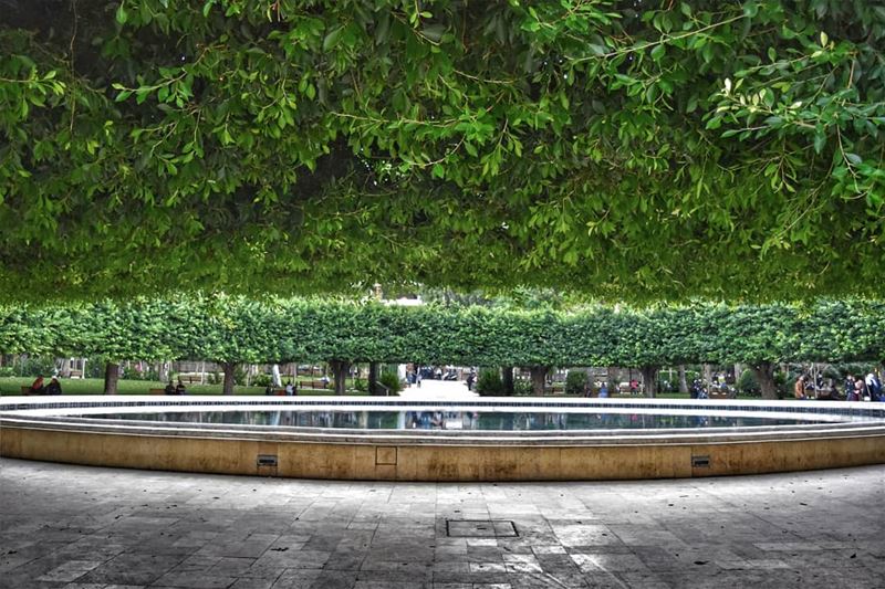  lebanon  beirut  photography  prespective  publicgarden  shadow  green ... (Sanayeh Park)