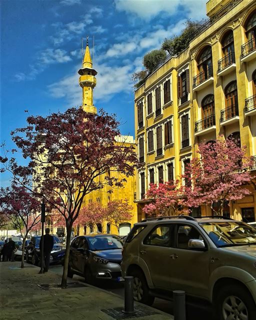 🌸 lebanon beirut photooftheday instagallery follow followme meetlebanon... (Downtown Beirut)