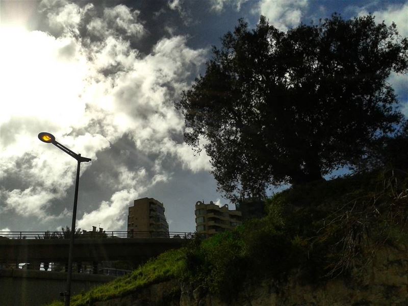 ⛅💡🌳 lebanon beirut photooftheday instagallery instamoments nature... (Beirut, Lebanon)