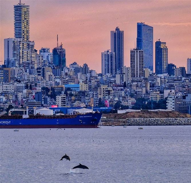  lebanon  beirut  sea  sunset  surprise  city  insta  instagood  instapic ...