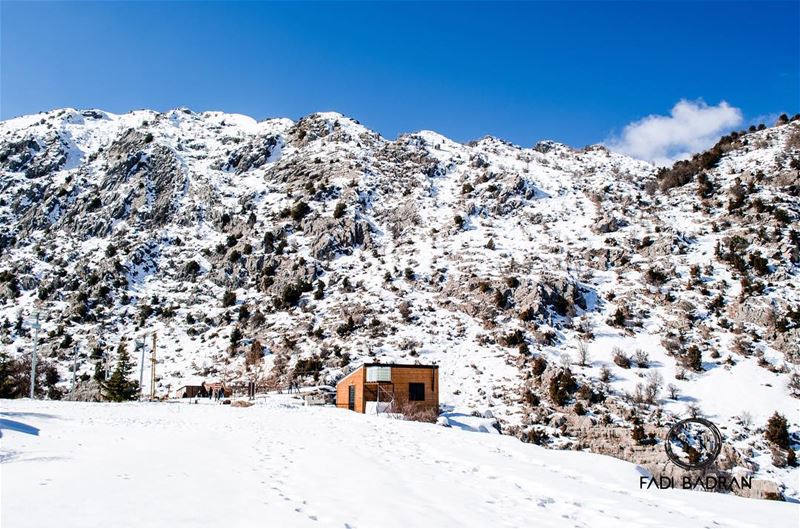  lebanon  beirut  vscocam  beautifuldestinations  dametraveler ... (Cedar Reserve Tannourine)