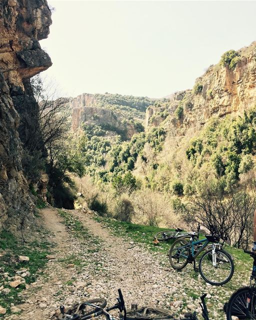  lebanon  beirut  vscocam  beautifuldestinations  dametraveler ... (Bisri, Al Janub, Lebanon)