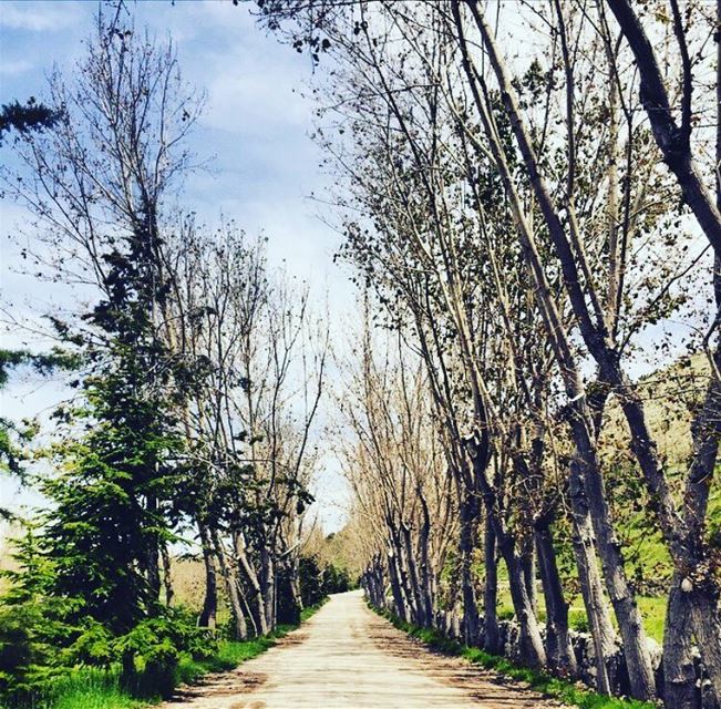  lebanon  beirut  vscocam  beautifuldestinations  dametraveler ... (Laklouk - Lebanon)