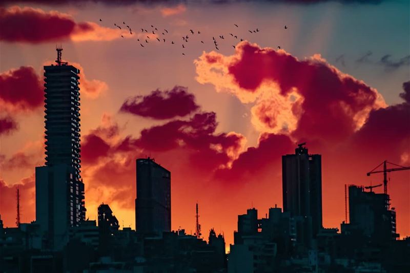  Lebanon  Beirut  Winter  Weather  Sky  City  Clouds  Colors  Sunset ... (Beirut, Lebanon)