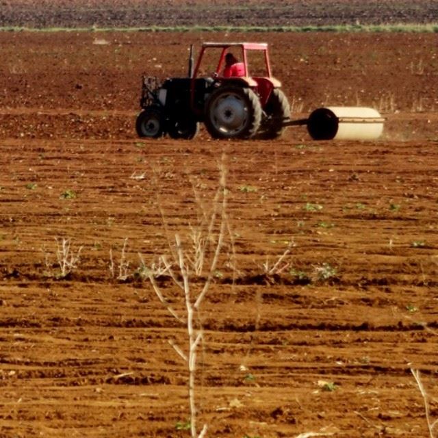  Lebanon  bekaa  fields  autumn  landscape  brown  colors  photos ...