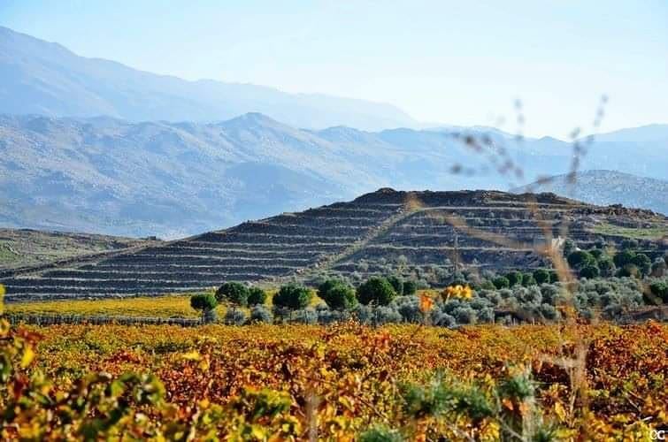  lebanon  bekaa  livelovelebanon  livelovebekaa  autumn  colors  scenery ...
