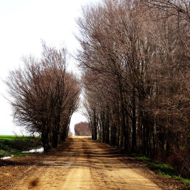  lebanon  bekaa  nature  photography  proudlylebanese  instaphoto ...