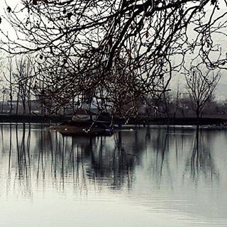  lebanon  bekaa  nature  taanayel  reserve  landscape  scenery ...