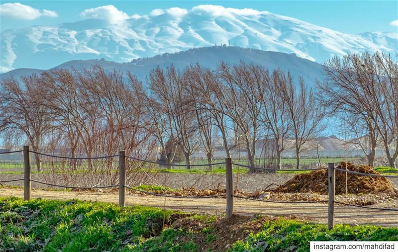  Lebanon Bekaa pysglb Taanayel lake mountains landscape nature photography... (Deïr Taanâyel, Béqaa, Lebanon)
