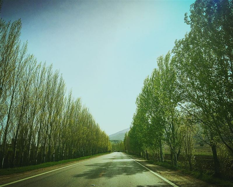  lebanon  bekaa  road  trip  naturelover  naturelover  natureaddict ... (Beqaa Governorate)