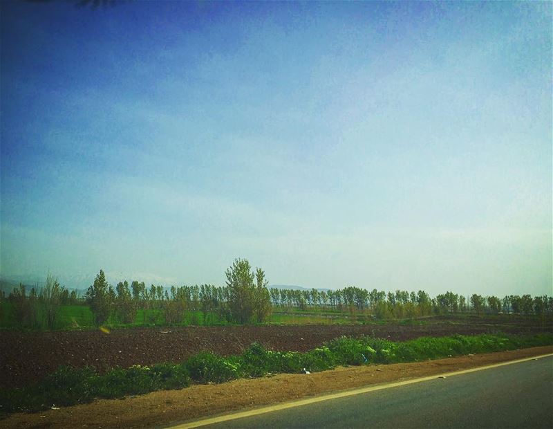  lebanon  bekaa  roadtrip  livelovelebanon  livelovebekaa  livelovebeirut ... (Bekaa Valley)