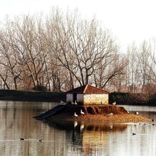  lebanon  bekaa  taanayel  reserve  lake  pics  photography  instagood ...